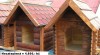 Boudy pro psy 105250_t.jpg