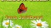Úklidová služba - Jana Jařábová 170073_t.jpg