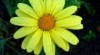 Neslibujeme. Vase problemy resime! 172486_t.jpg