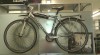 KELLYS EXQUISITE 187206_t.jpg