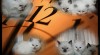 kočičky a kocourci plemene Ragdoll s PP 209221_t.jpg