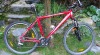kolo Madison Tuscon 19 214633_t.jpg
