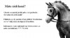 PONY KLUB u Pardubic 218921_t.jpg