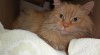 Tony 231328_t.jpg