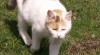 Olinka 231329_t.jpg