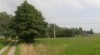 Borová - 2 parcely u lesa, samota, klid 231669_t.jpg