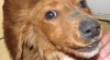 FUFI 237103_t.jpg