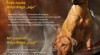 Rhodéský Ridgeback - štěňata 243874_t.jpg