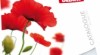 ♥ DEDRA - registrace a katalog ZDARMA ♥ 244552_t.jpg