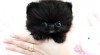 AKC - pomeranian štěňata pro přijetí roztomilé a 244870_t.jpg