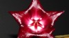 Voskovka (Hoya sp., Waxplant) 251539_t.jpg