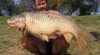 Rio Ebro-přehrada Mequinenza -ubytování,rybolov 267793_t.jpg