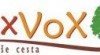 Nová česká sociální síť RexVoX hledá spolupracovníky 269232_t.jpg