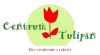 Centrum Tulipán v Kladně - školička, hlídání dětí 276_t.jpg