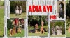 ADIA AVI chov.st Erdelteriér-Airedaleterrier,Pudl 283325_t.jpg
