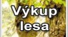Výkup lesů a dřeva od soukromých vlastníků 287625_t.jpg