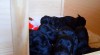 Flat coated retriever s PP 293264_t.jpg