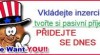 Spolehlivý online přivýdělek - NEVÁHEJTE 293970_t.jpg
