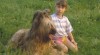 Briard - štěňata s PP 30588_t.jpg