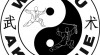 Kurzy Taiji Chen, Jang a Shaolin kung-fu pro děti a dospělé v Brně. 311172_t.jpg