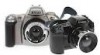brand new(nikon and canon camera) for sell 319672_t.jpg