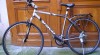 Ravo -Durango 3221_t.jpg