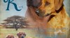 Rhodesian ridgeback s pp 331008_t.jpg