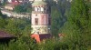 Kvalitně číněné kožešiny k dekoraci (divočina) 336559_t.jpg