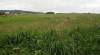 pozemek STAŘEČ (5 km od Třebíče) 3514_t.jpg