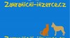 Inzerujte svá štěňata a koťata v zahraničí! 375314_t.jpg