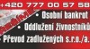 Oddlužení 1)osobním bankrotem 2) vyplacením dluhů a exekucí 376712_t.jpg