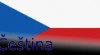 Čeština online s lektorem, který se věnuje pouze Vám 435085_t.jpg