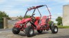 Buggy 125 automat 446041_t.jpg