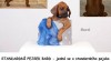 Rhodéský ridgeback - štěňata s PP ihned k odběru 446043_t.jpg