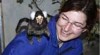 Deti Samec A Samice Marmoset Opice 446504_t.jpg