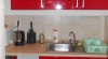 PALMOVKA 451562_t.jpg