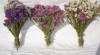 Statice Sinuata, Len, Řebříček-Achillea, slaměné kruhy 454795_t.jpg