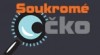 Soukromý detektiv - soukrome-ocko.cz 456938_t.jpg