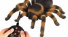 Pavouk Tarantule na dálkové ovládání 461289_t.jpg