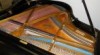 Piano Centrum Bušo - piano - prodej pian 462437_t.jpg