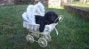 Flat Coated Retriever 467217_t.jpg