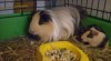 Narodila se miminka!! 47167_t.jpg