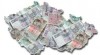 Nejrychlejší půjčky bez poplatků - 774273707 478563_t.jpg