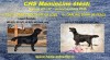 Černá štěňata Flat Coated Retrievera s PP 479963_t.jpg