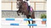 Nabízíme sportovní klisnu ČSP 480880_t.jpg