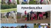 Ponyškolička - zájmový kroužek pro děti od 3 let 483997_t.jpg
