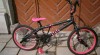 freestylové kolo zn. HUFFY - ROSIE 484957_t.jpg