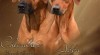 štěňátka Rhodéký Ridgeback 486437_t.jpg