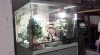Volne lamino teraria 495253_t.jpg
