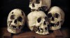 Lidská lebka (human skull replica) 499242_t.jpg